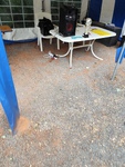 IMG_20260718_100230.jpg