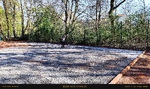 IMG_20250407_104436.jpg