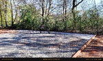 IMG_20250407_104438.jpg